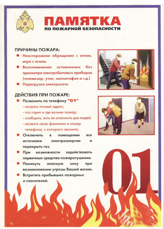 IMG1-9.jpg